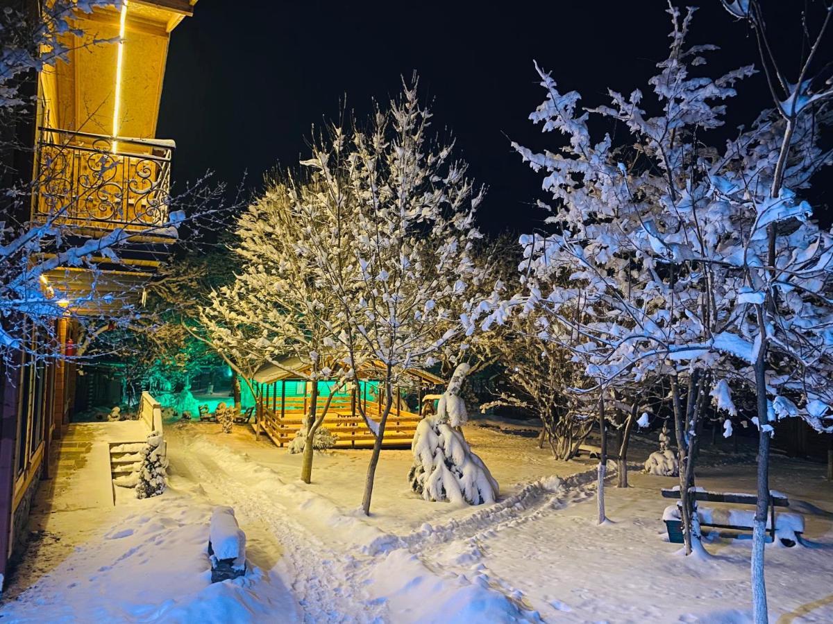 Harsnadzor Eco Resort Halidzor エクステリア 写真